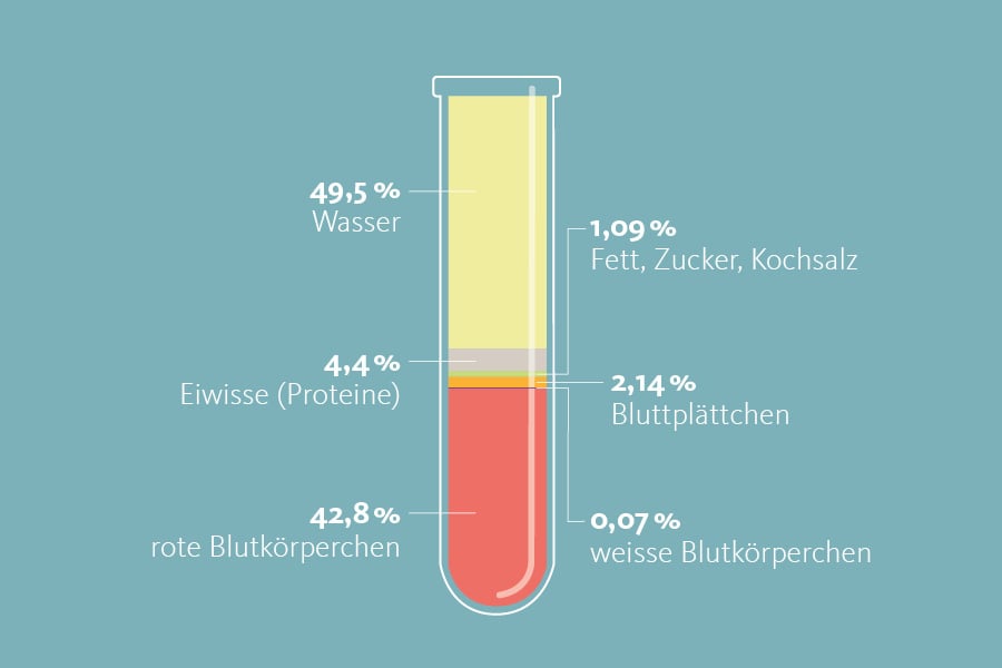 Ein Reagenzglas mit der prozentualen Verteilung der Zusammensetzung des Blutes. 